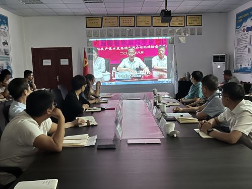 【河海水文】水發(fā)水控集團(tuán)黨委委員、紀(jì)委書(shū)記王高升到河海公司全面從嚴(yán)治黨、黨風(fēng)廉政建設(shè)專(zhuān)題調(diào)研 (1).jpg